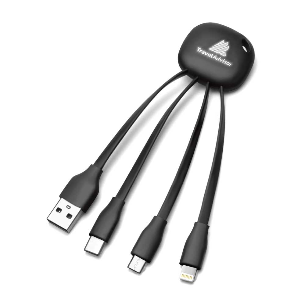 Light Up Logo Multi Charging Cable