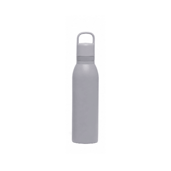 Grab&Sip — 530ml Stainless Steel Bottle, 2-in-1 Straw & Direct Sip