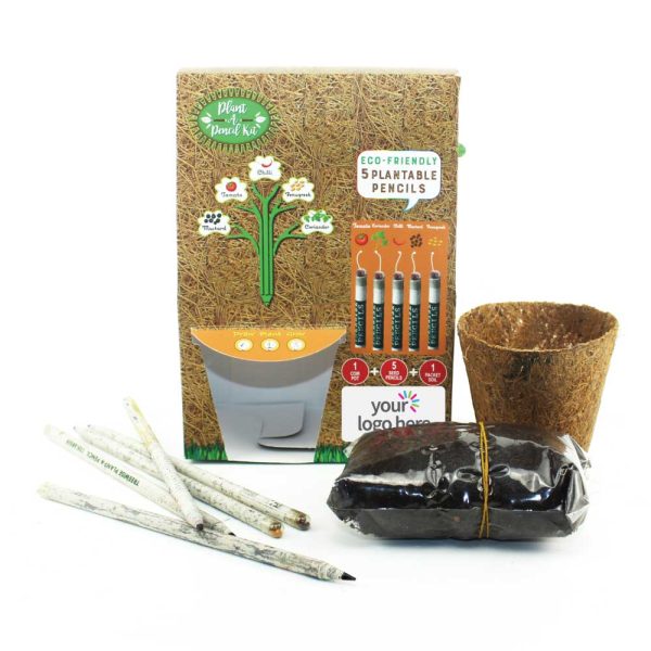 50 Plant A Pencil Kit