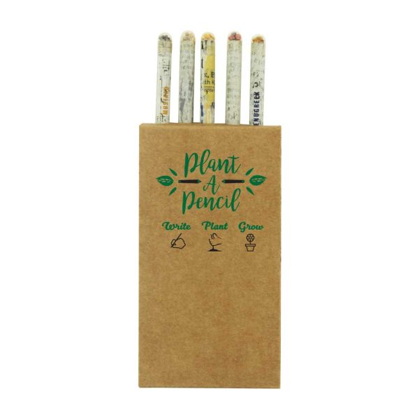 50 Plantable A Pencils Set