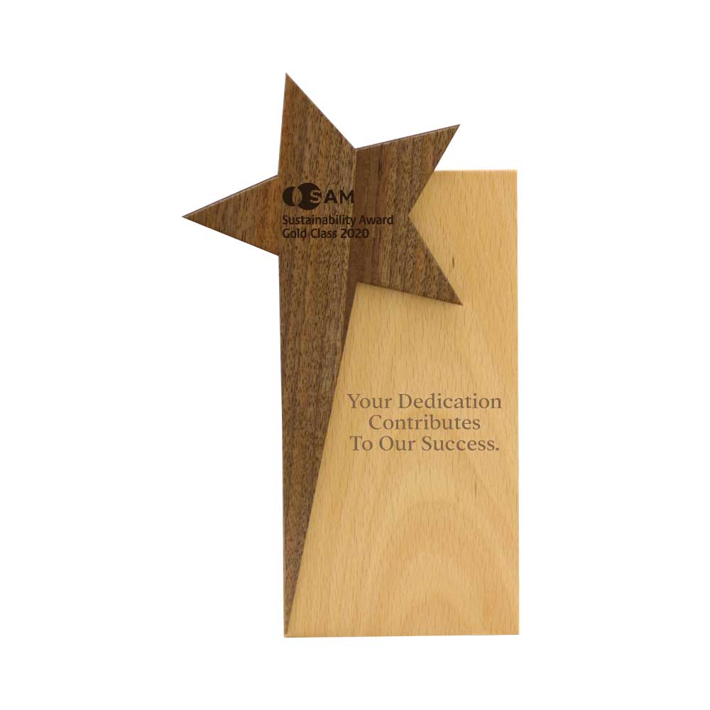 Star Design Wooden Trophy
