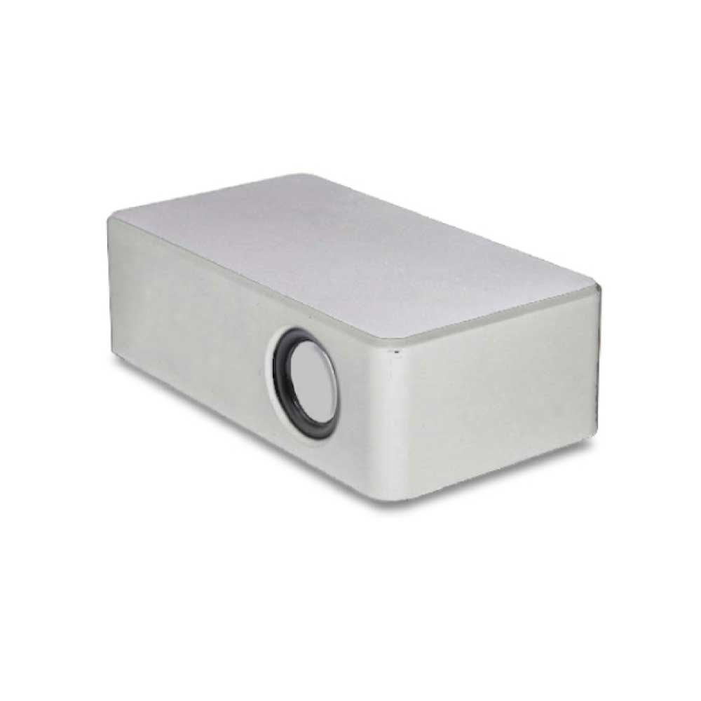 Induction Speakers