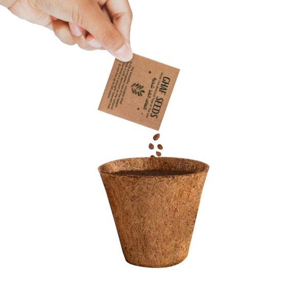 50 Plantable Kit with GHAF Seeds in Kraft Box