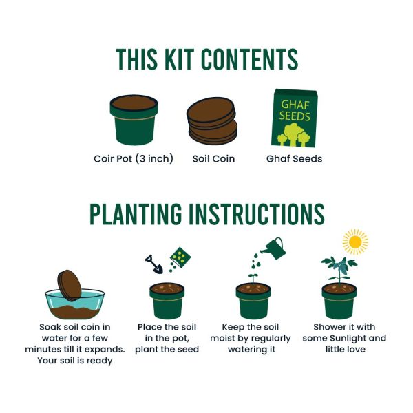 50 Plantable Kit with GHAF Seeds in Kraft Box