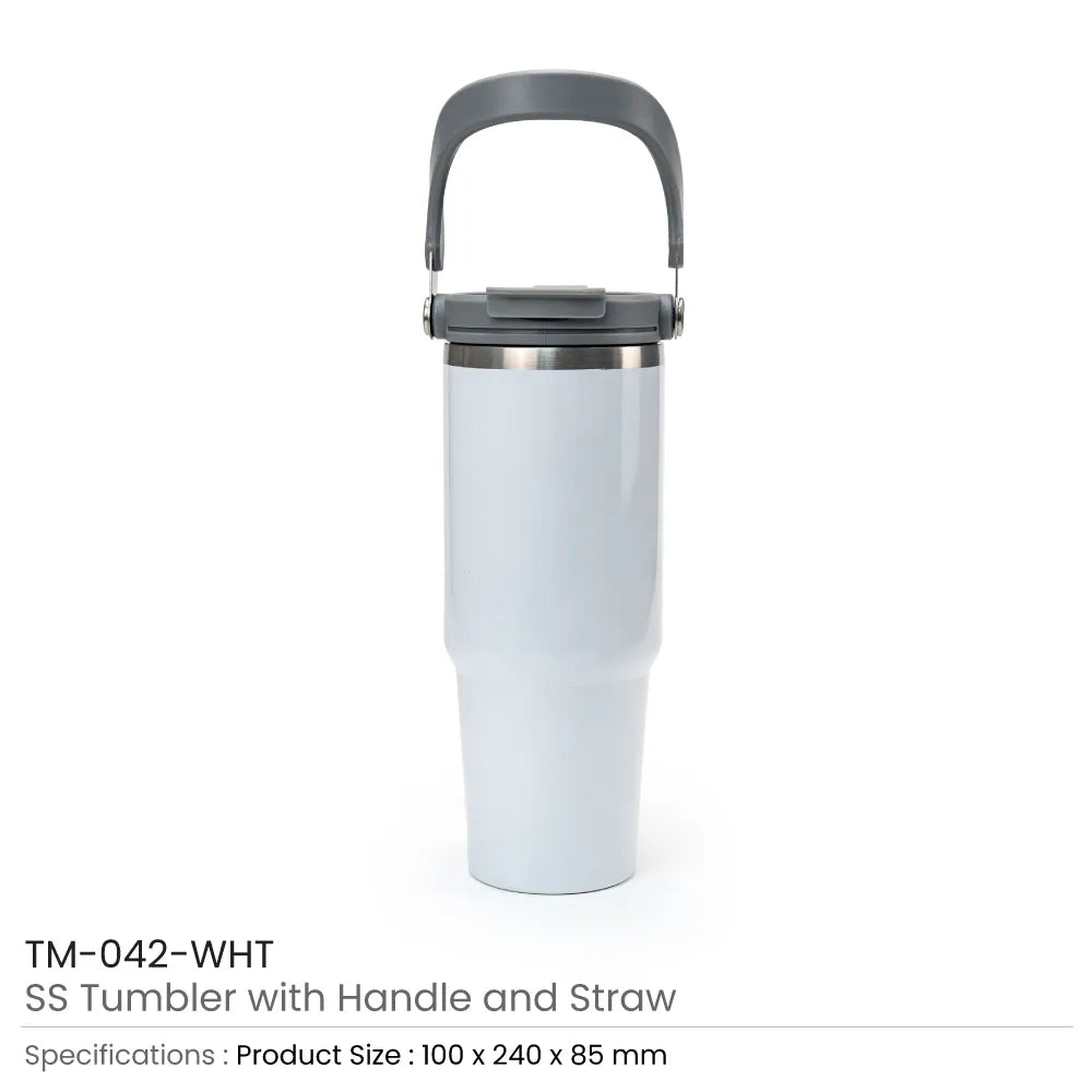 Tumbler with Handle and Straw SS Double Wall 900ml
