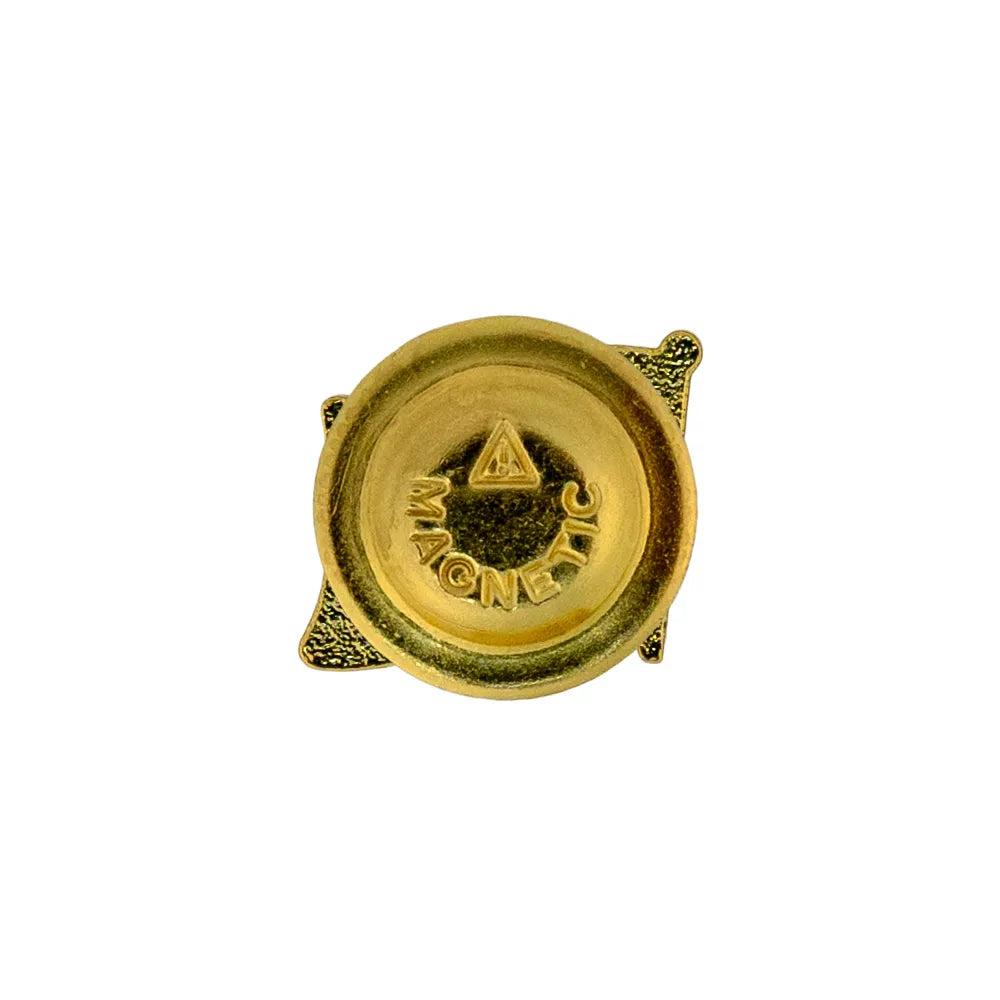 UAE Flag Design Badges with Magnet Attachment
