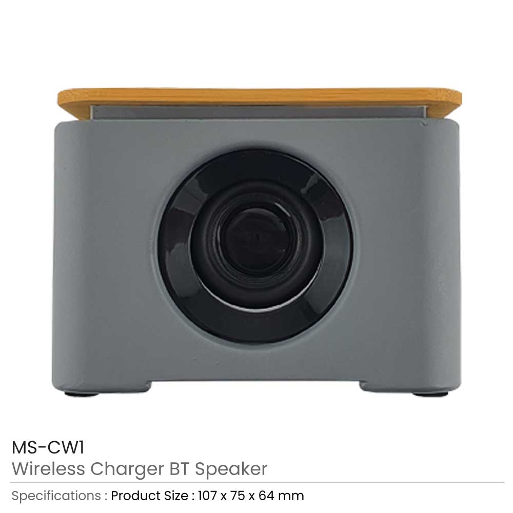 Wireless Charger BT Speaker