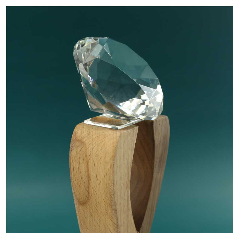 16 Wooden Crystal Trophy