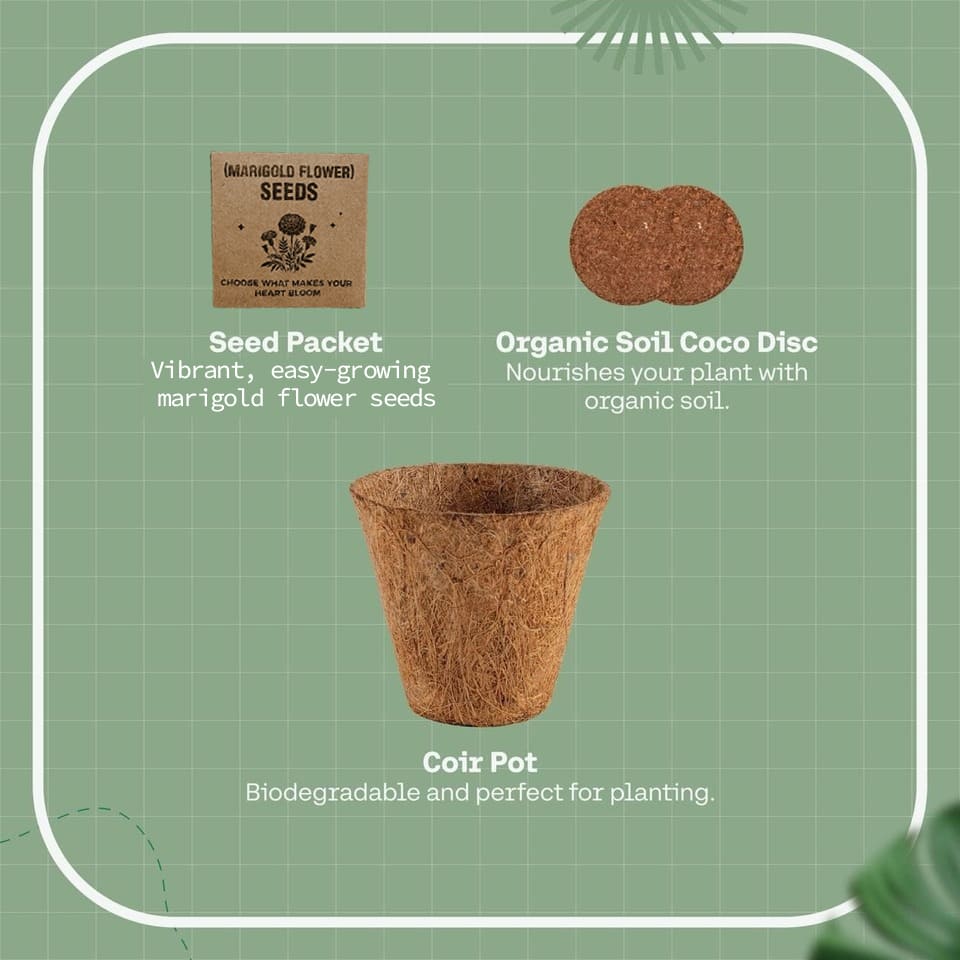eco-neutral® All-in-One Plant Grow Kit