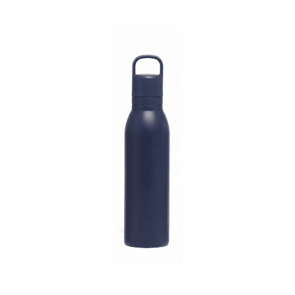 Grab&Sip — 530ml Stainless Steel Bottle, 2-in-1 Straw & Direct Sip