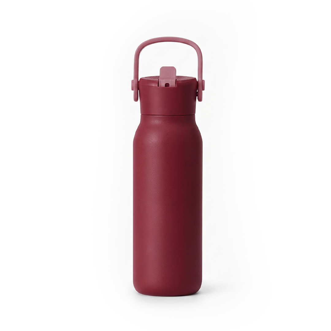 SipN'Go — 700ml Insulated Stainless Steel Water Bottle with Straw