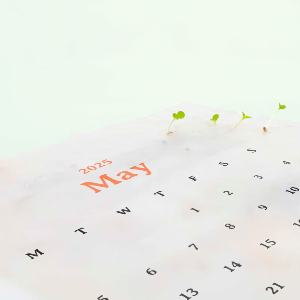 eco-neutral® Plantable Calendar with 12 Sheets Seed Paper — view 5 — MaxPrint Dubai