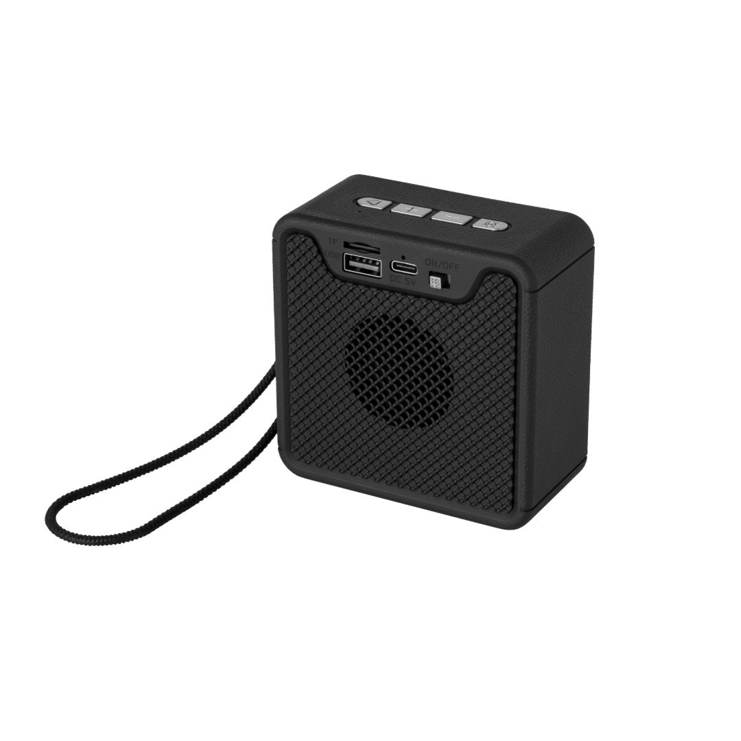 Felix @memorii portable wireless speaker in black and silver