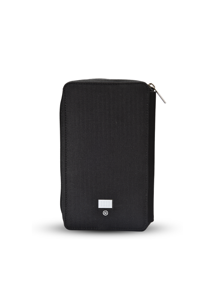 Wireless P-Travel — RFID-Protected Travel Wallet