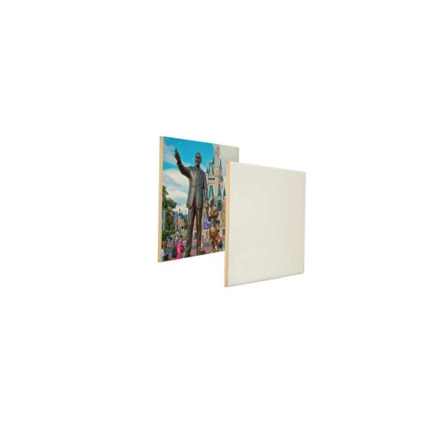 50 Ceramic Tiles