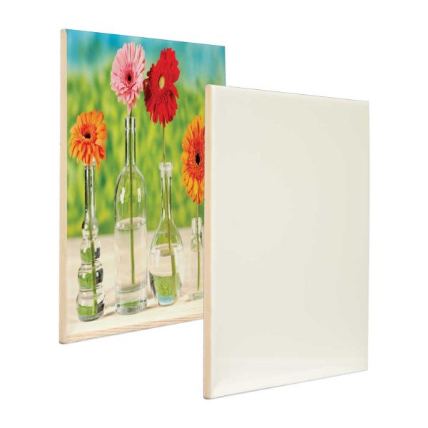 50 Ceramic Tiles