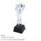 8 Star Crystal Trophy