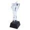 8 Star Crystal Trophy