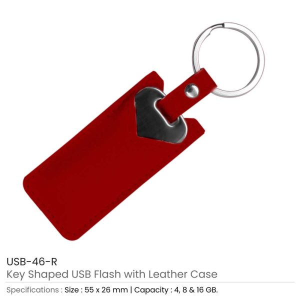 50 Key Shaped USB with Leather Case