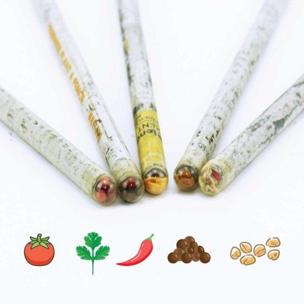 50 Plant A Pencil Kit