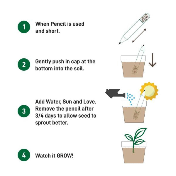 50 Plant A Pencil Kit