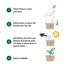 1 Plant A Pencil Kit