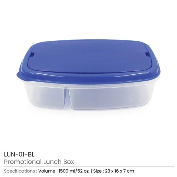 100 Lunch Boxes