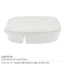 100 Lunch Boxes