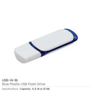 100 Promotional Plastic USB