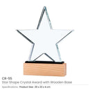 10 Star Shaped Crystal Awards
