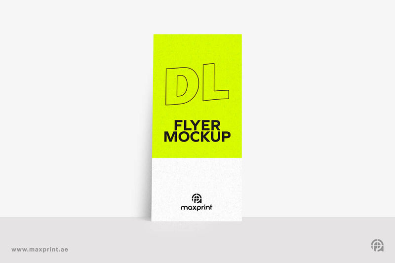 1000 Flyers DL, 170 gsm Glossy