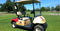 Golf Cart Branding